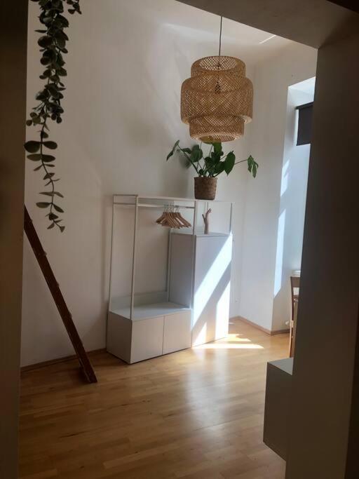 Apartment Neues, Gemuetliches Im Zentrum In Ruhelage