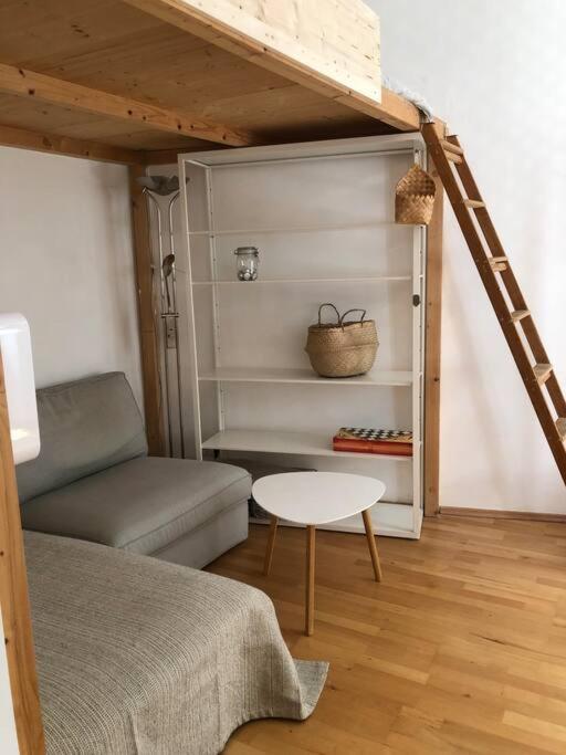 Neues, Gemuetliches Im Zentrum In Ruhelage Wien